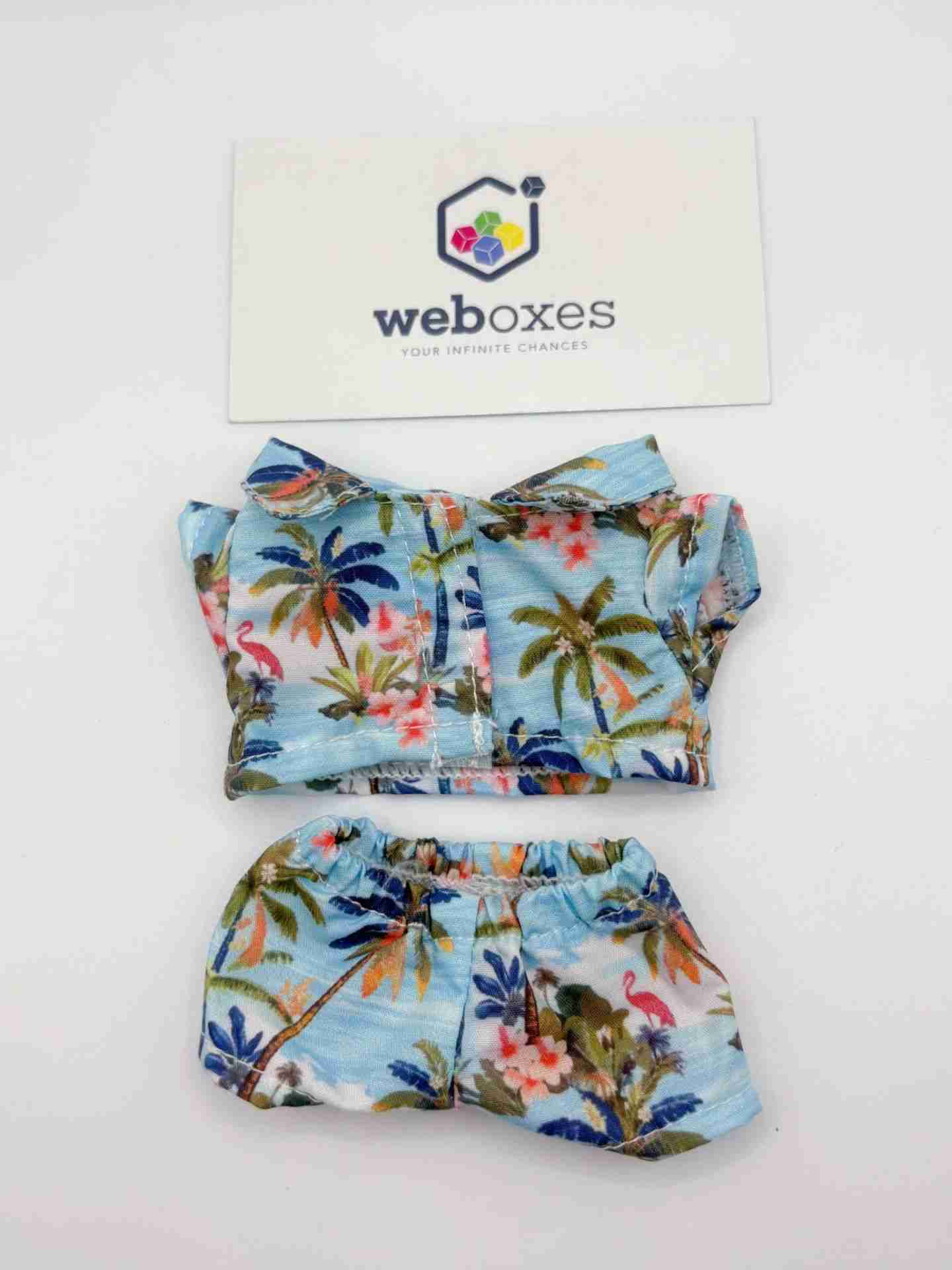 Labubu Summer Beachwear Collection – Outfit for 17cm Labubu Doll