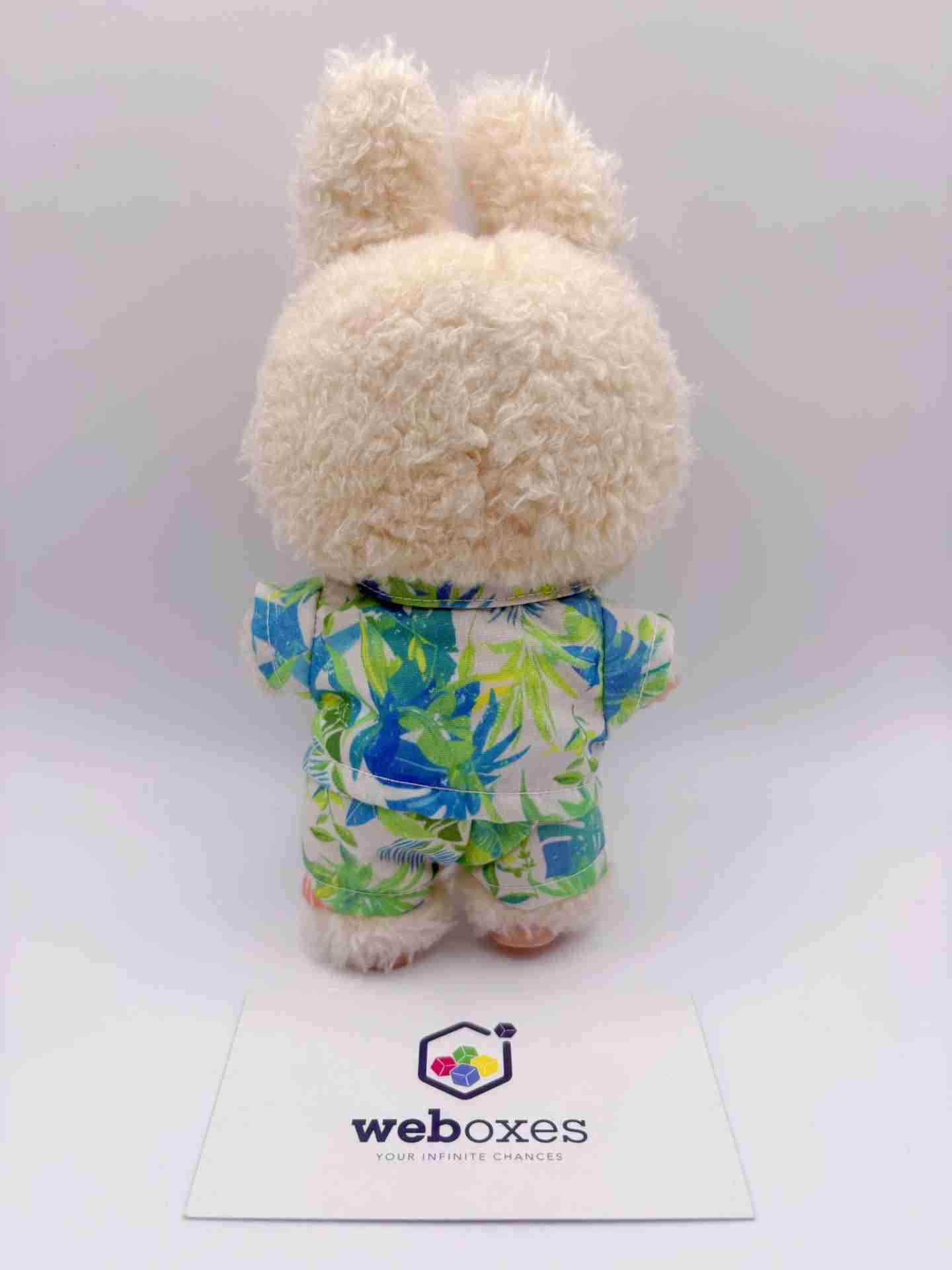 Labubu Summer Beachwear Collection – Outfit for 17cm Labubu Doll