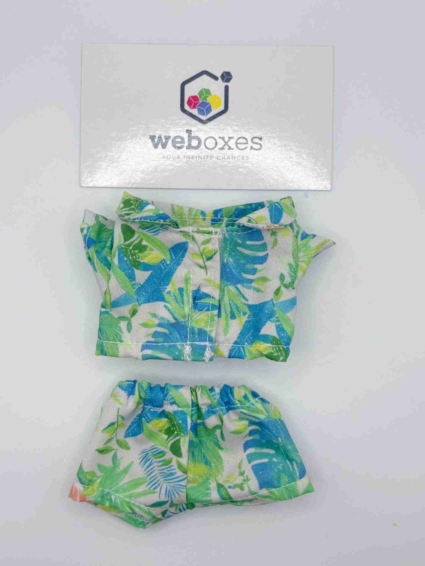 Labubu Summer Beachwear Collection – Outfit for 17cm Labubu Doll